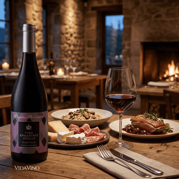 Vinho Errazuriz Ovalle Pequeñas Producciones Pinot Noir | VidaVino