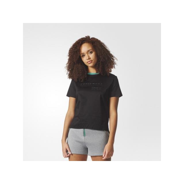 camiseta adidas eqt