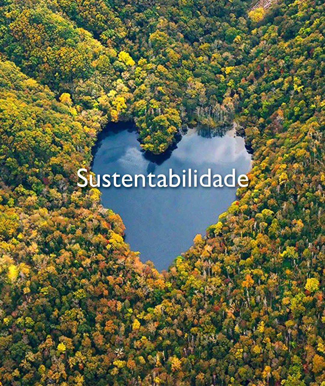 sustentabilidade-2