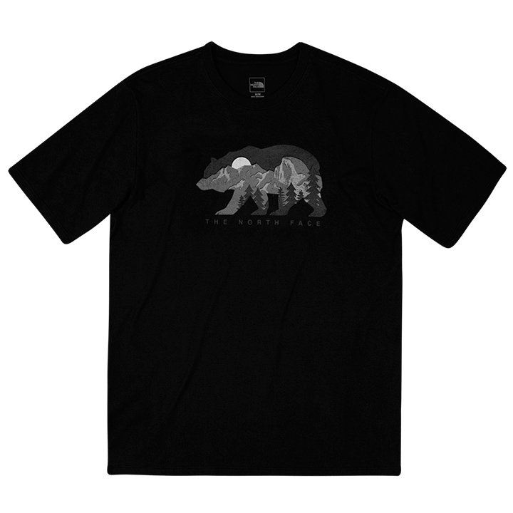 the north face bearitage