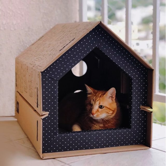 Casa para Gatos em Papelão com Arranhador | UAUhaus Paris