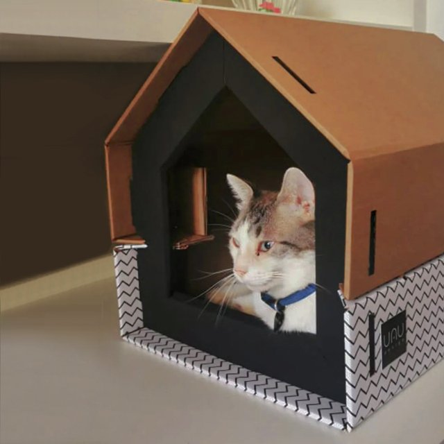 Casa para Gatos em Papelão com Arranhador | UAUhaus Roma
