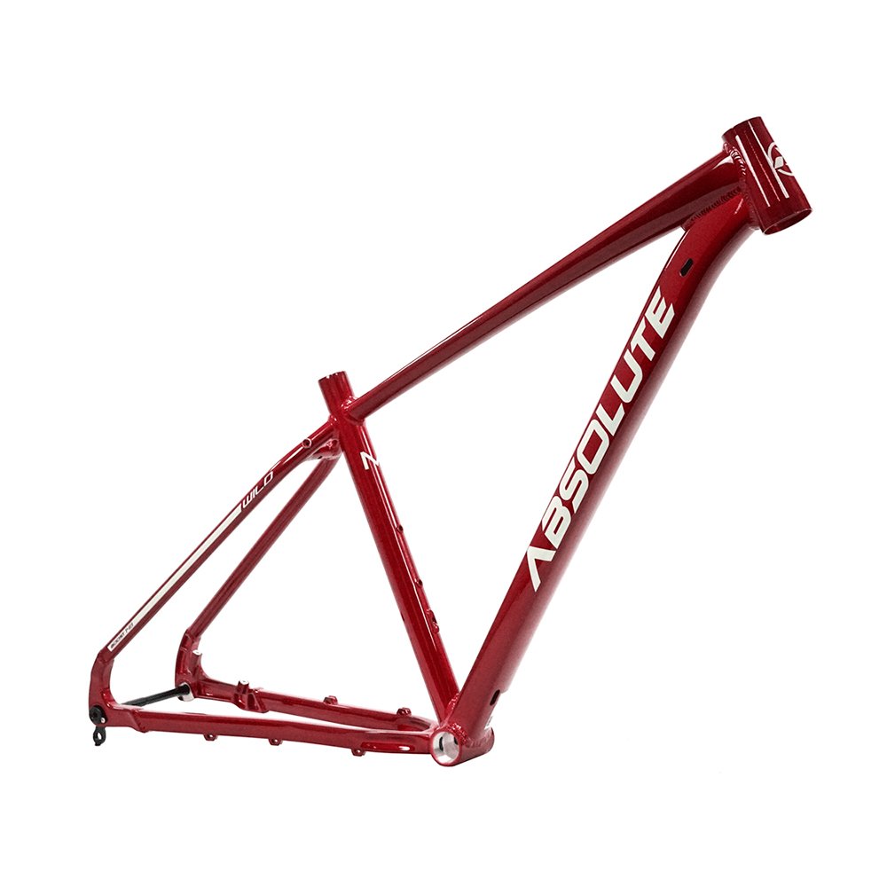 QUADRO 29 ABSOLUTE WILD BOOST CABEAMENTO INTERNO | Pedalokos Bike Shop