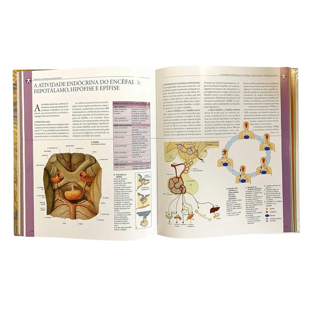 Atlas Ilustrado de Anatomia Profissional - Capa dura | TEM DE TUDO ...