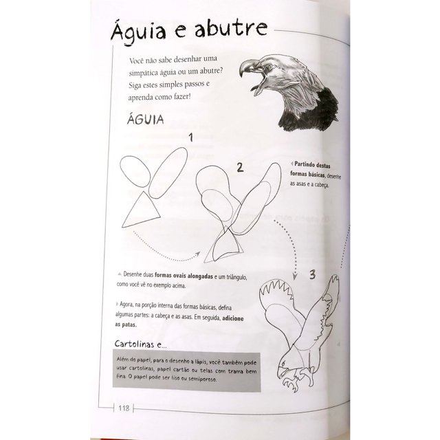 Aprenda a Desenhar: Aprenda a desenhar animais