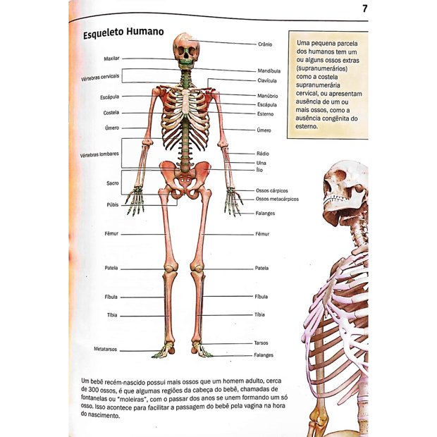 Livro Atlas Do Corpo Humano Com IlustraÇÕes 3d Completo Tem De Tudo