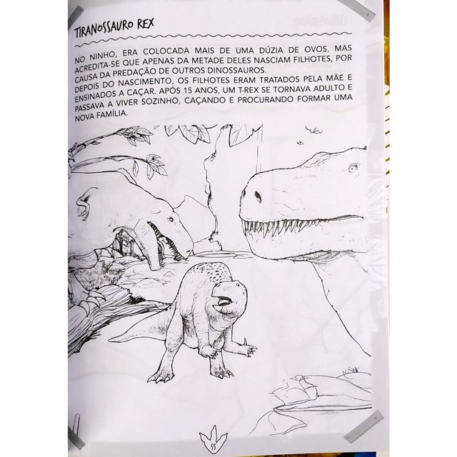 Desenhos de dino para colorir. páginas de livros de colorir de animais para  adultos.