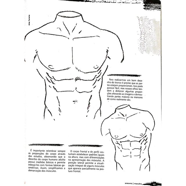 Guia Curso Básico De Desenho Anatomia Masculina Tem De Tudo Guarulhos