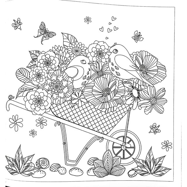 Mandalas e flores: para colorir e relaxar - Lafonte - Livros de  Entretenimento - Magazine Luiza