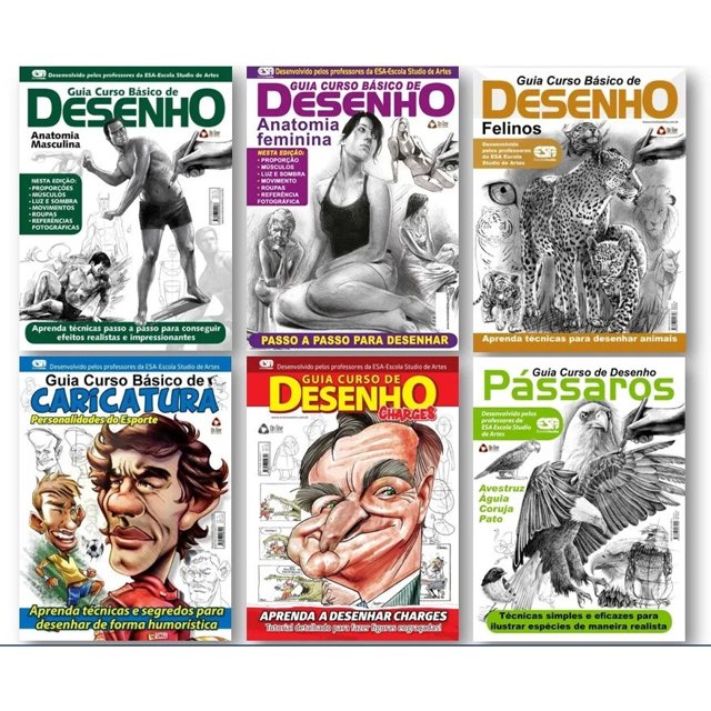 Livro Guia Curso Básico de Desenho Charges em ebook e epub