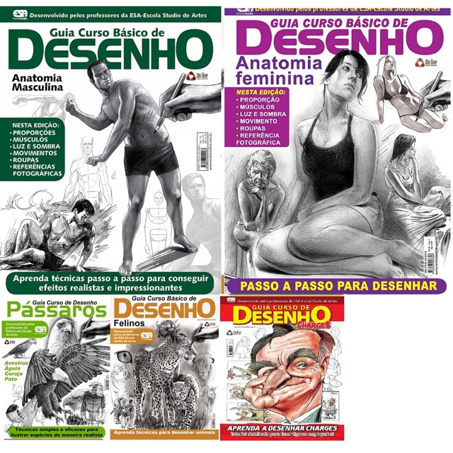 Livro Guia Curso Básico de Desenho Charges em ebook e epub