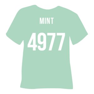 4977-mint