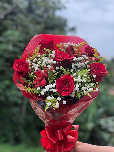 Exquisito herida fondo de pantalla Buquê rosas Vermelhas | Floricultura Laços Eternos