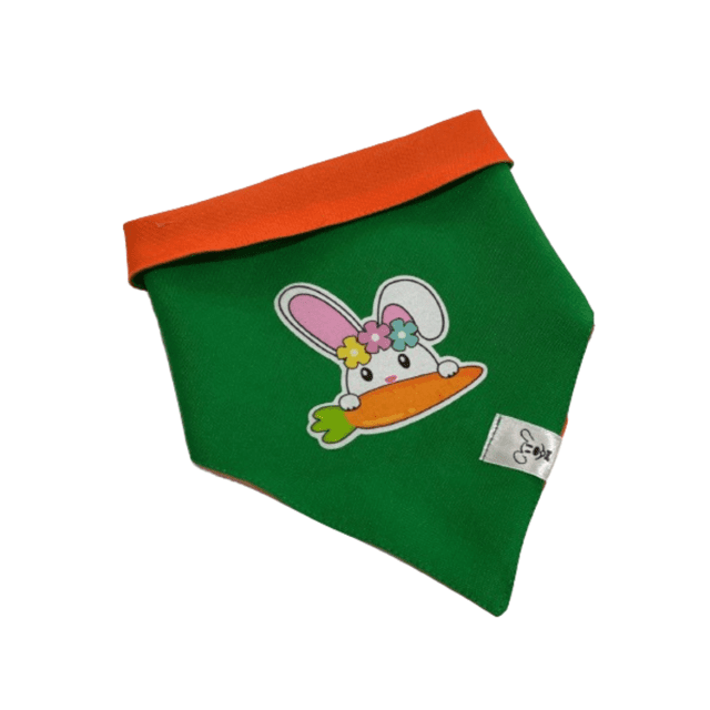 Bandana para pet Páscoa verde coelho cenourinha