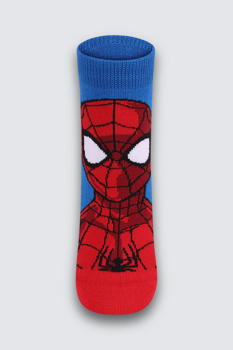 Meia Menino Homem-Aranha Lupo 2445.038 | Feira de Calçados