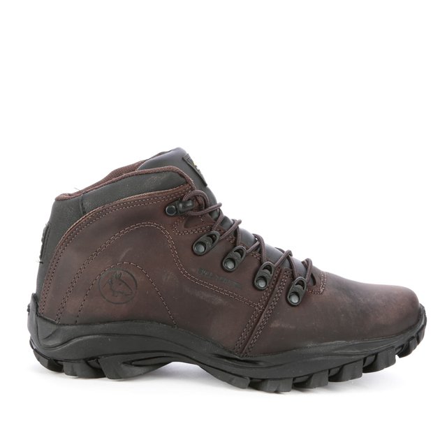 Abotinado Masculino Bull Terrier Fox Terrier II | Loja Online