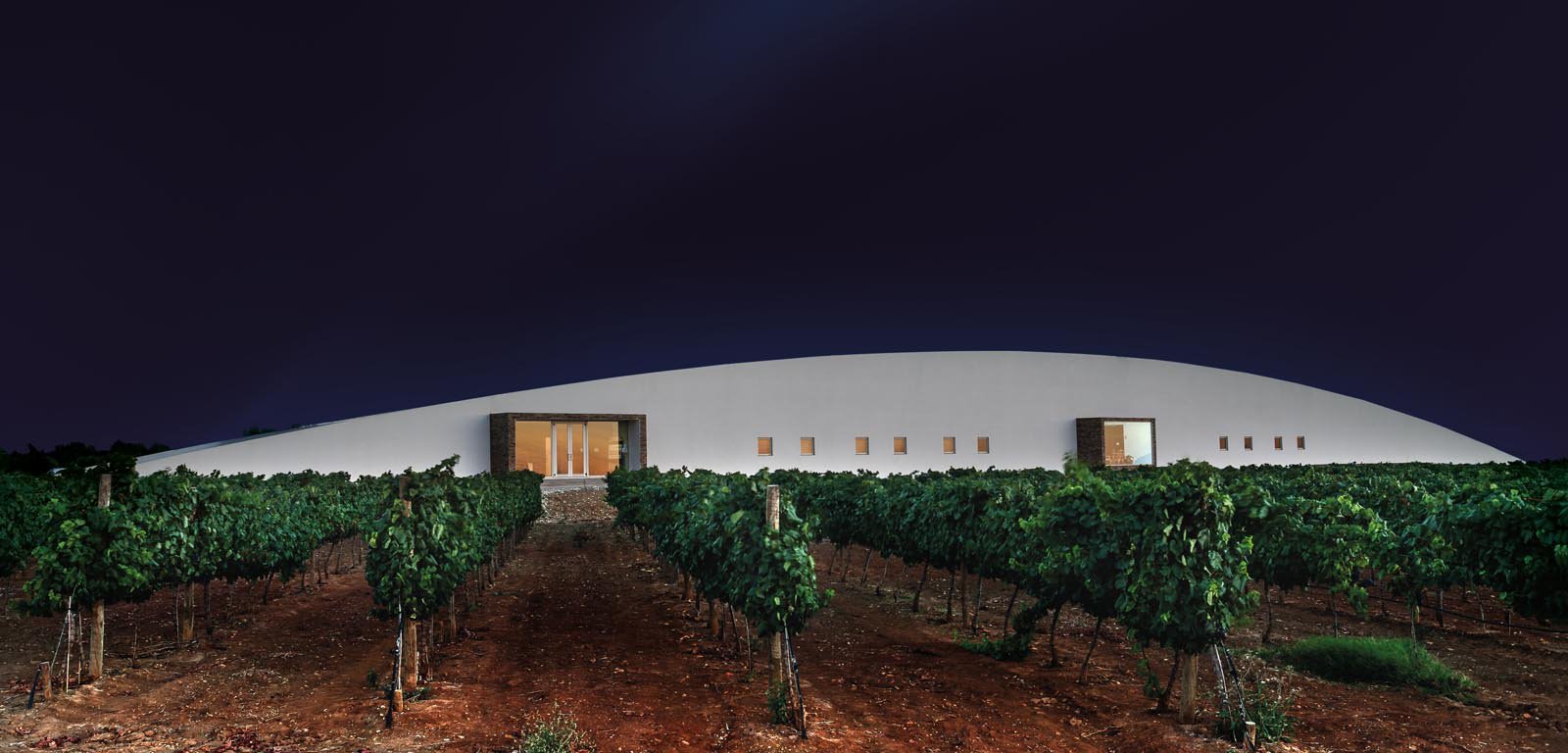 Tiago Cabaço | Quinta de Olivares - Garrafeira