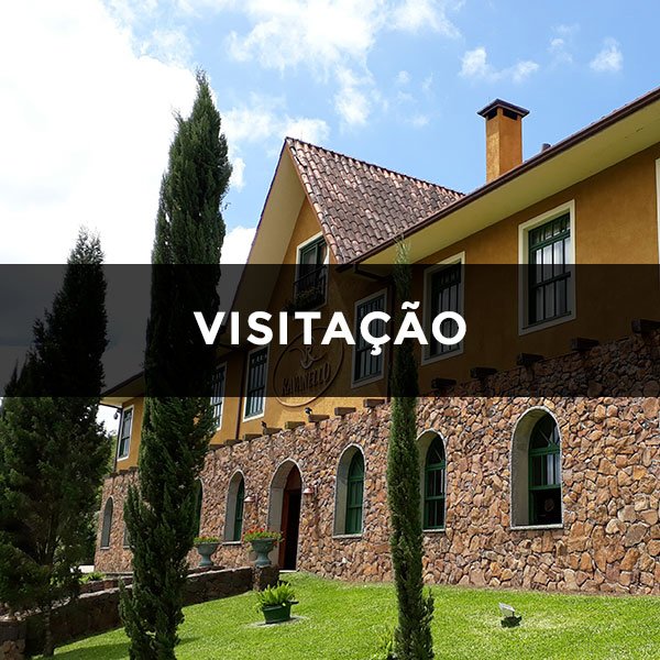Ravanello Winery in Gramado - Tours and Activities