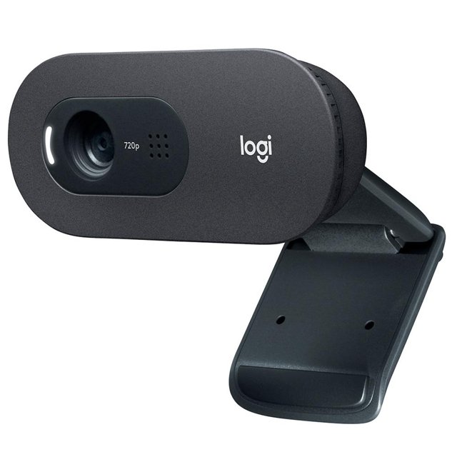Webcam Logitech C505, HD 720P, 30 FPS, com Microfone, 3MP, USB, Preto -  960-001367