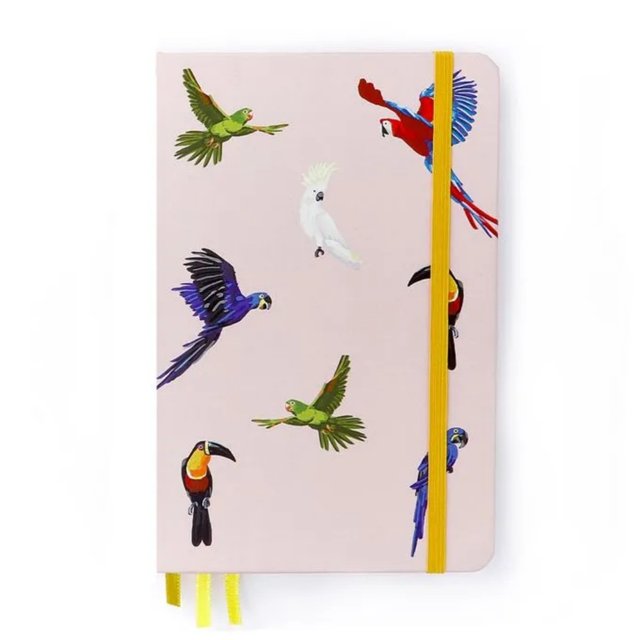Caderneta CICERO 14 x 21cm  - Tri - Pássaros/Espécies Rosa