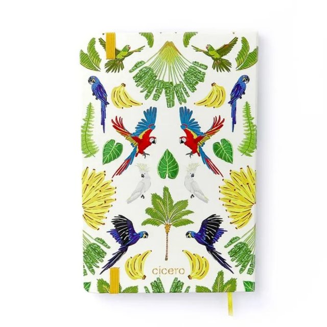 Caderneta CICERO 14 x 21cm - Sem Pauta - Pássaros/Floresta Tropical Branco