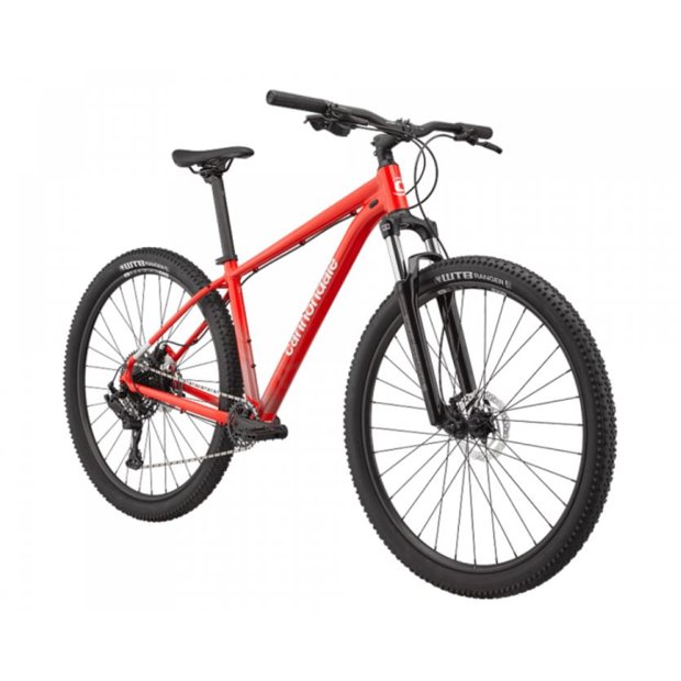 diamondback nail bolsas