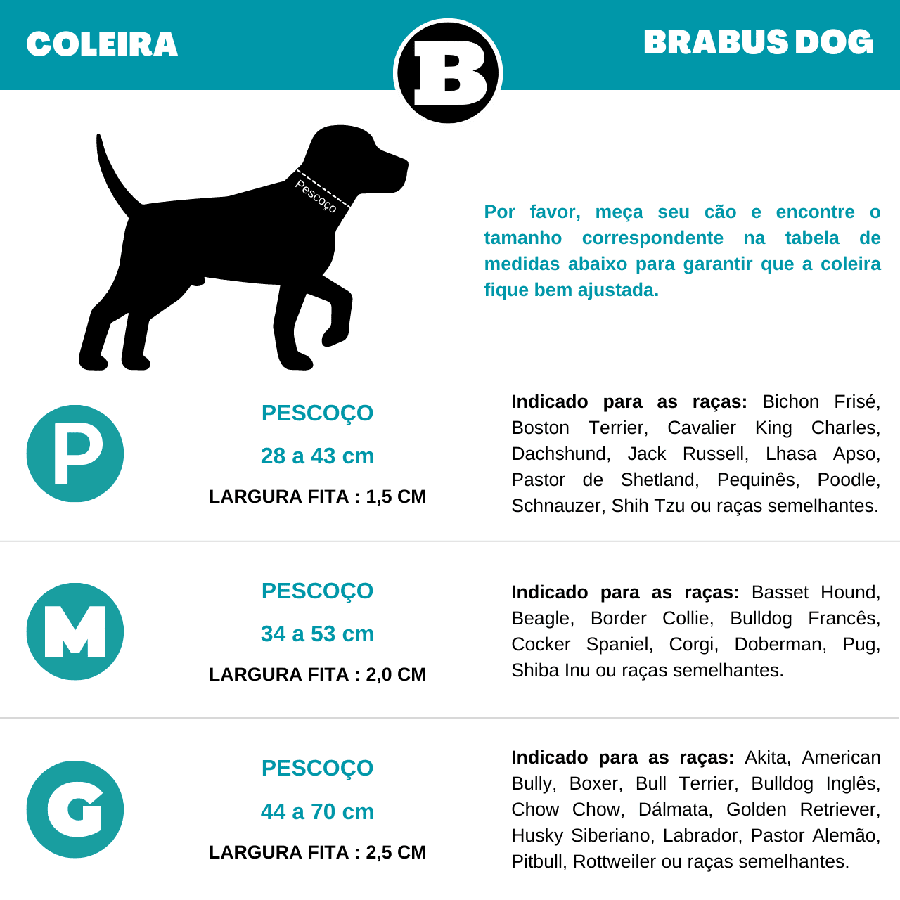 Coleira XS Monogram - Baús e Viagem