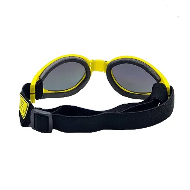 Óculos para cachorro Basic Amarelo