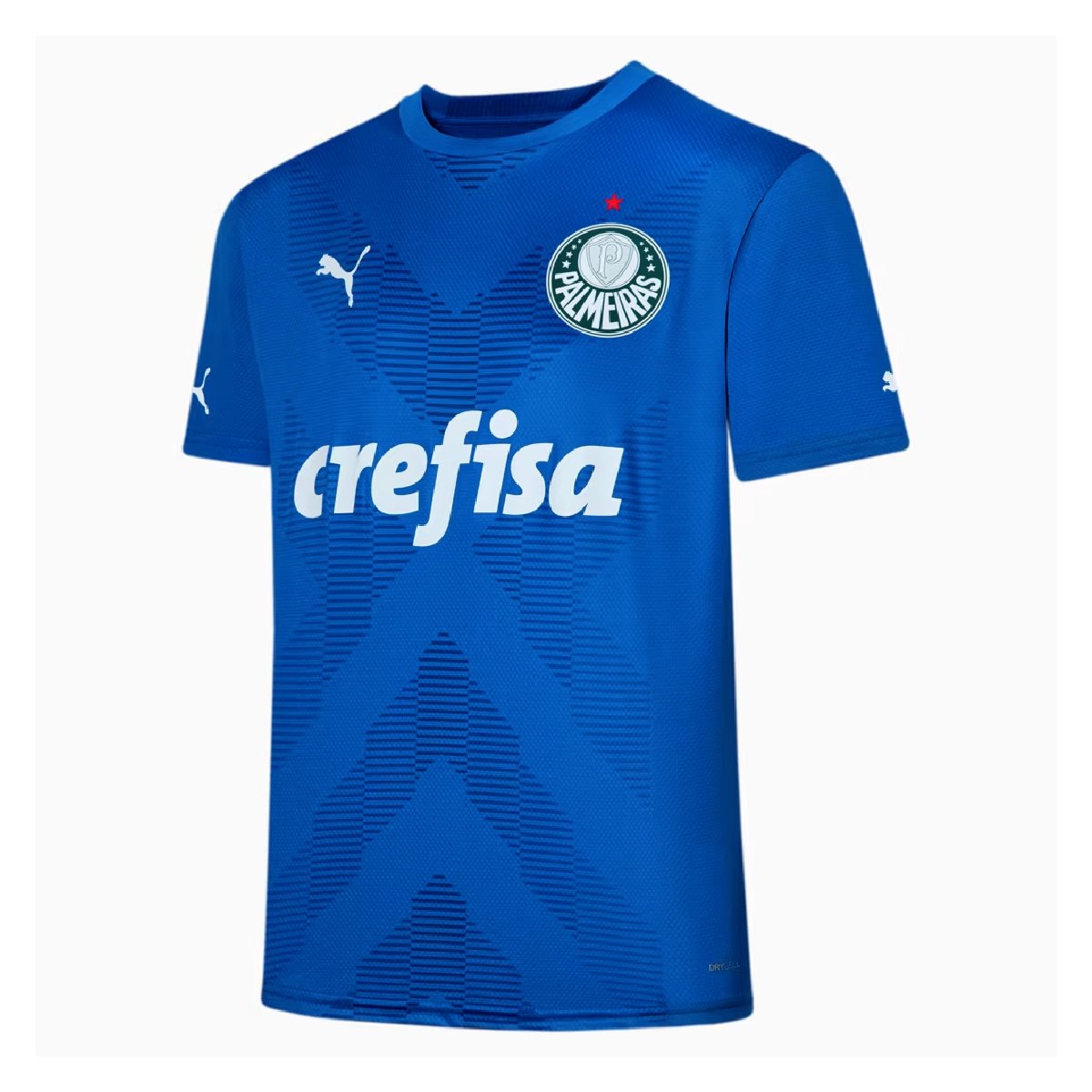 Camisa Puma Palmeiras Torcedor Goleiro 23/24 Masculina