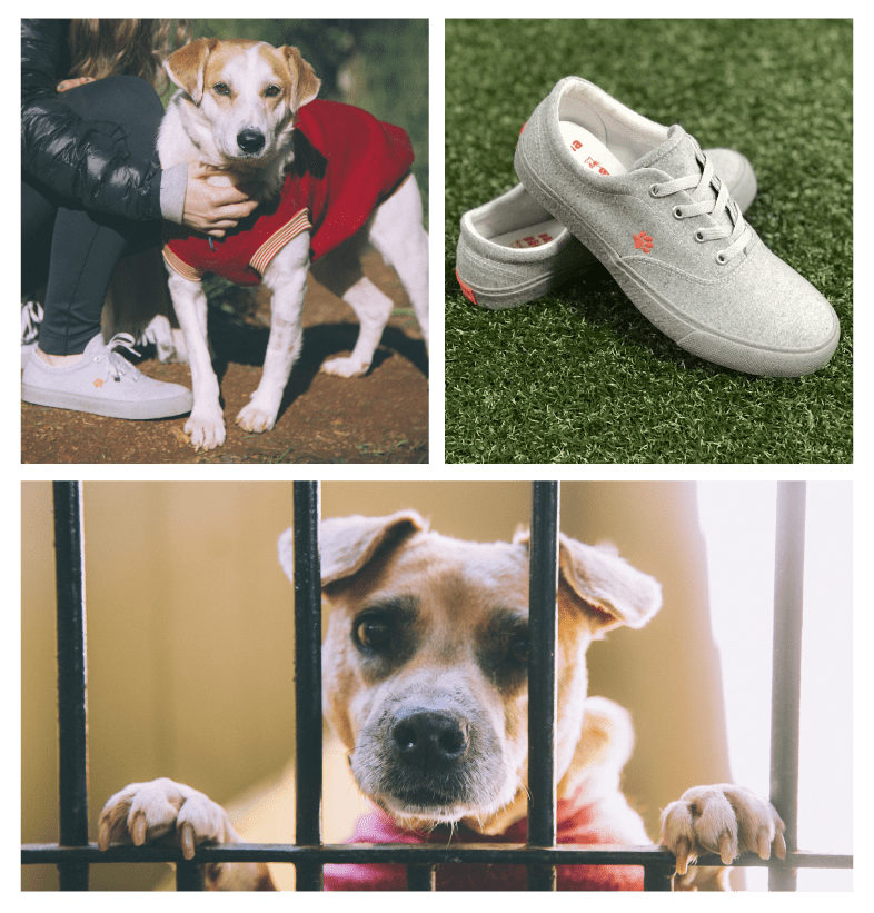 SOMOS NUMA + PATAS DADAS