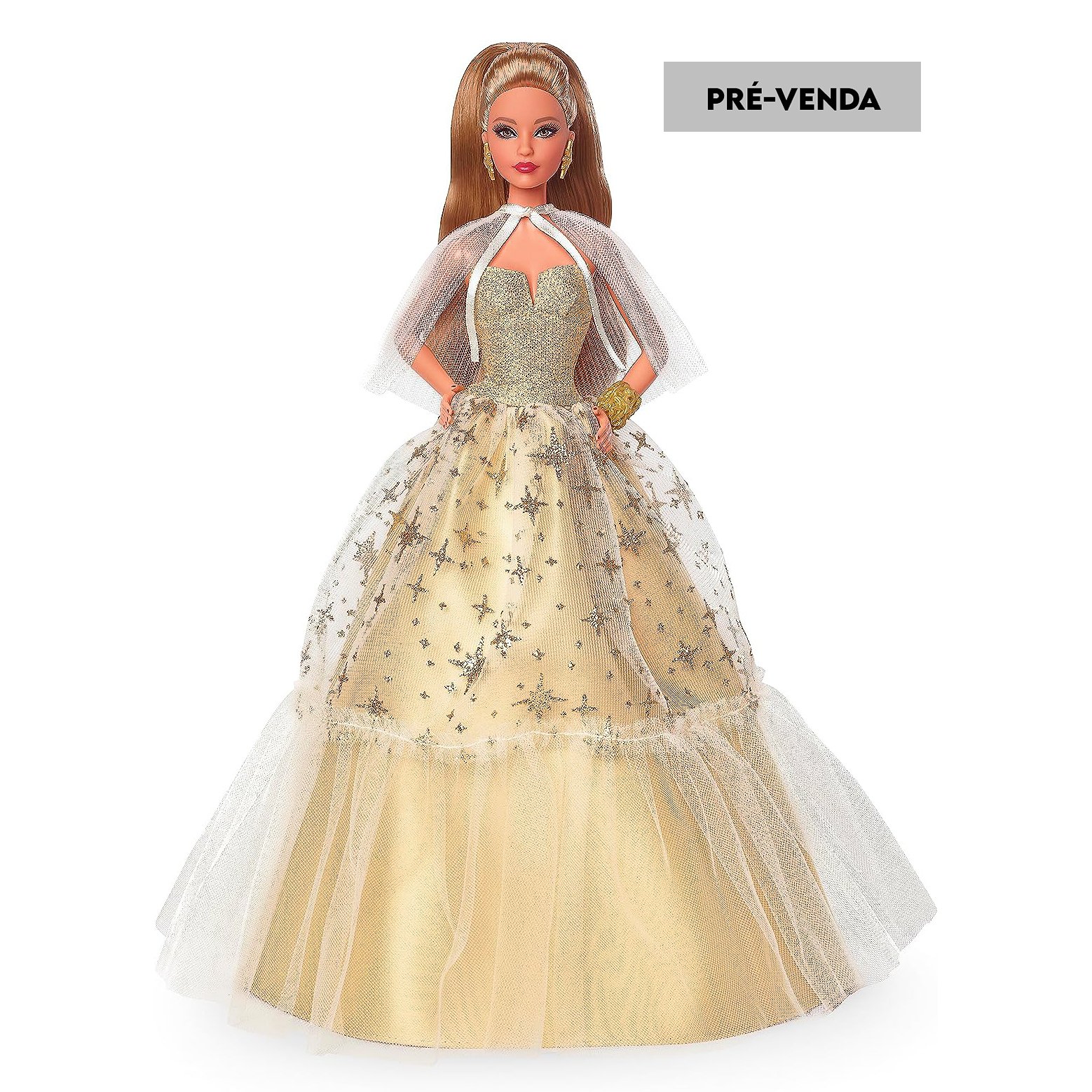 PRÉ-VENDA Boneca Barbie Signature Holiday 2023 35th Latina - Mattel | Doll  Collector