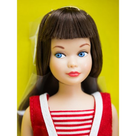 Boneca Barbie Signature 60th Anniversary Skipper - Mattel | Doll
