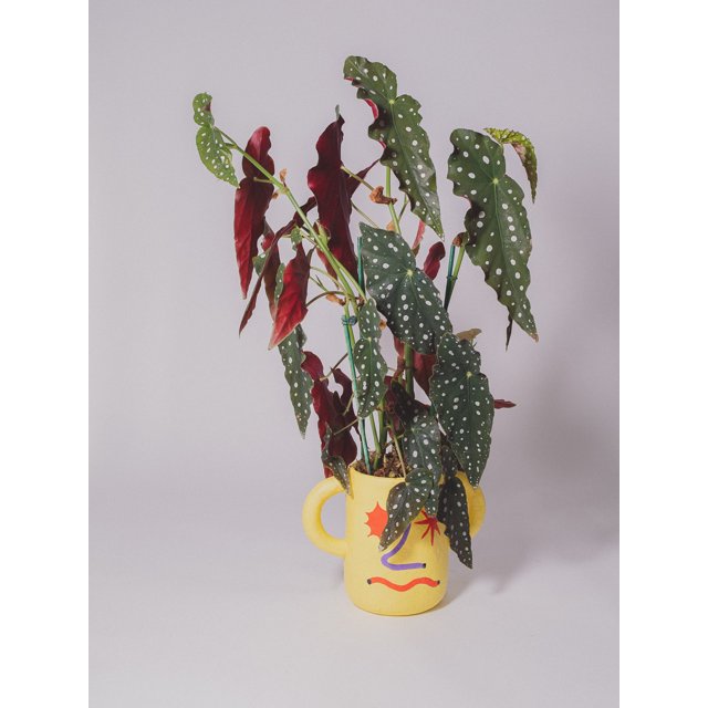 Vasos personalizados por artistas plásticos na Prisco Galeria | Prisco  Galeria
