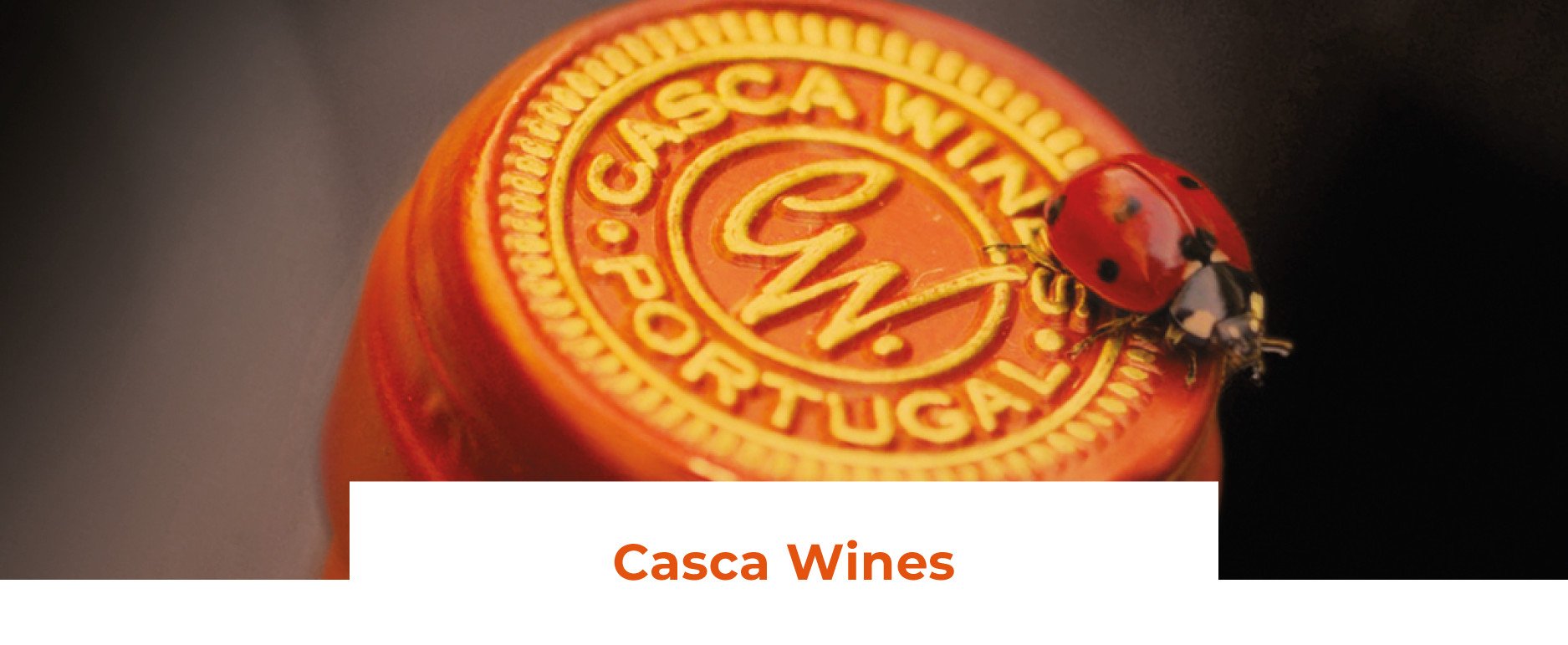 banners-casca-wines-remy-massin-01-compressed