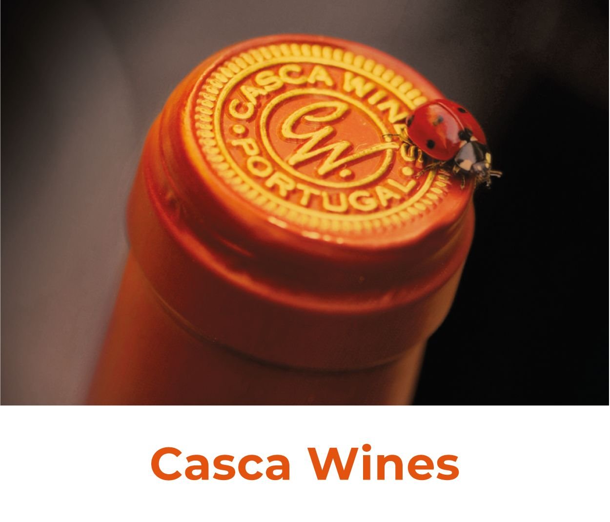 banners-casca-wines-remy-massin-02-compressed
