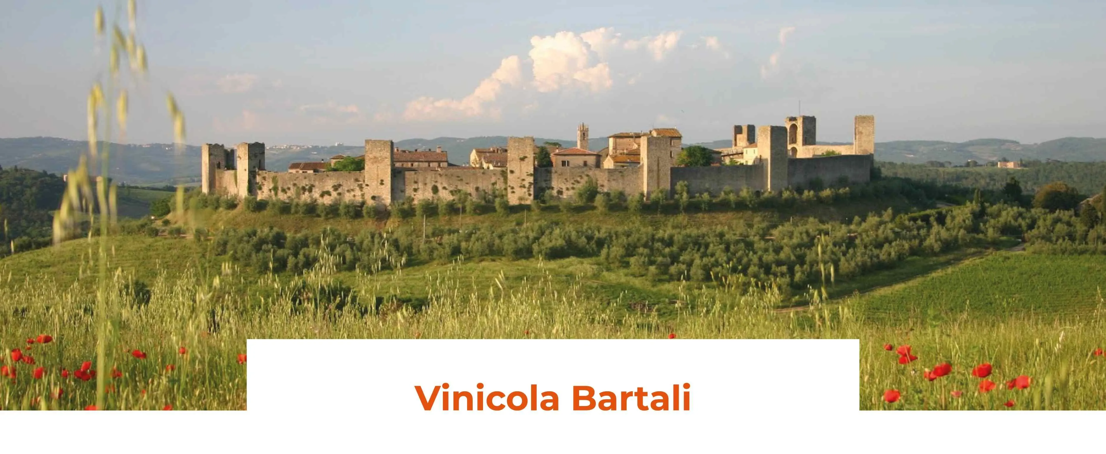 vm-bartali-1-bartali-04-bartali-03-compressed