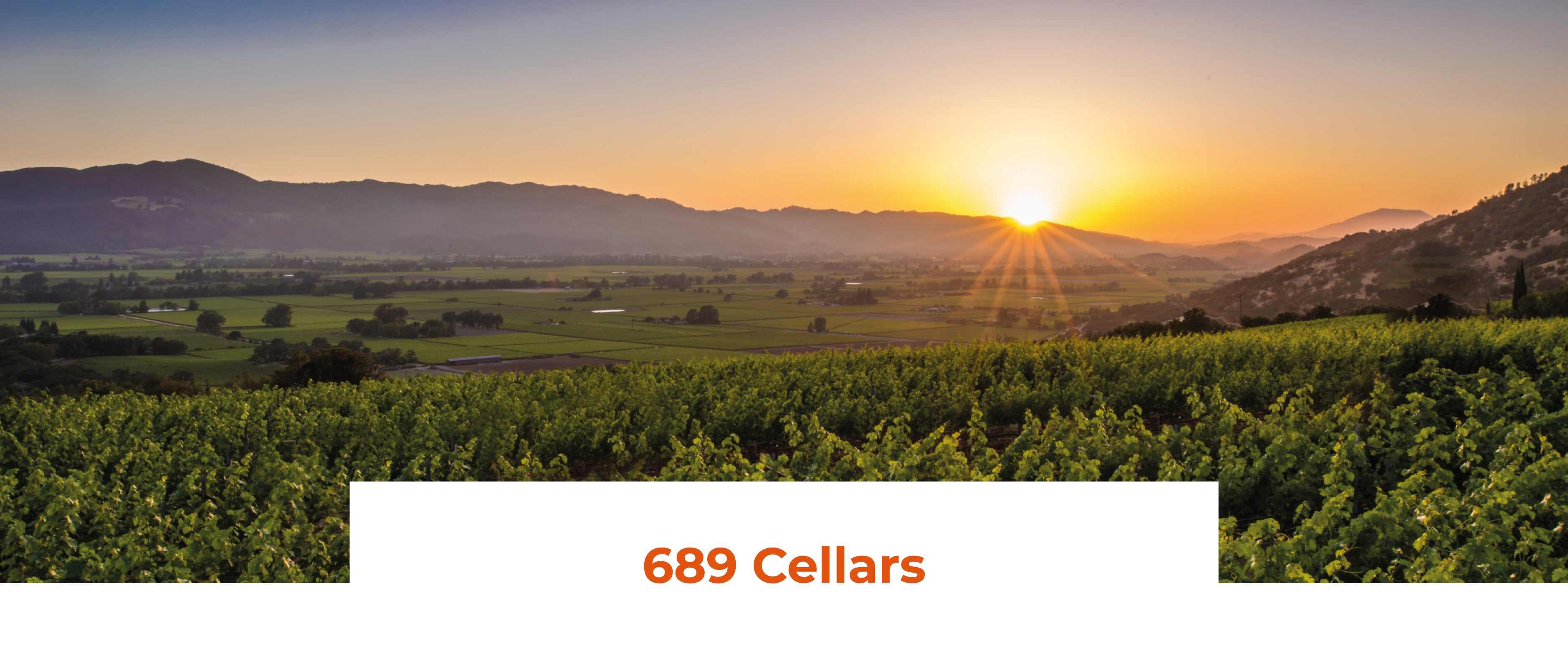 vmvinhos-689cellars-1