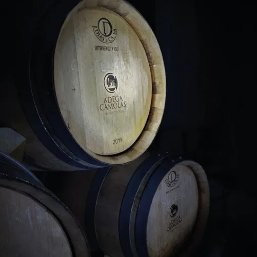 vmvinhos-cellarcamolas-5