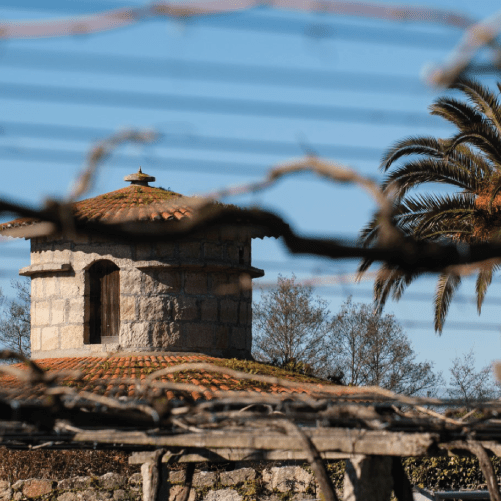 vmvinhos-castromartin2