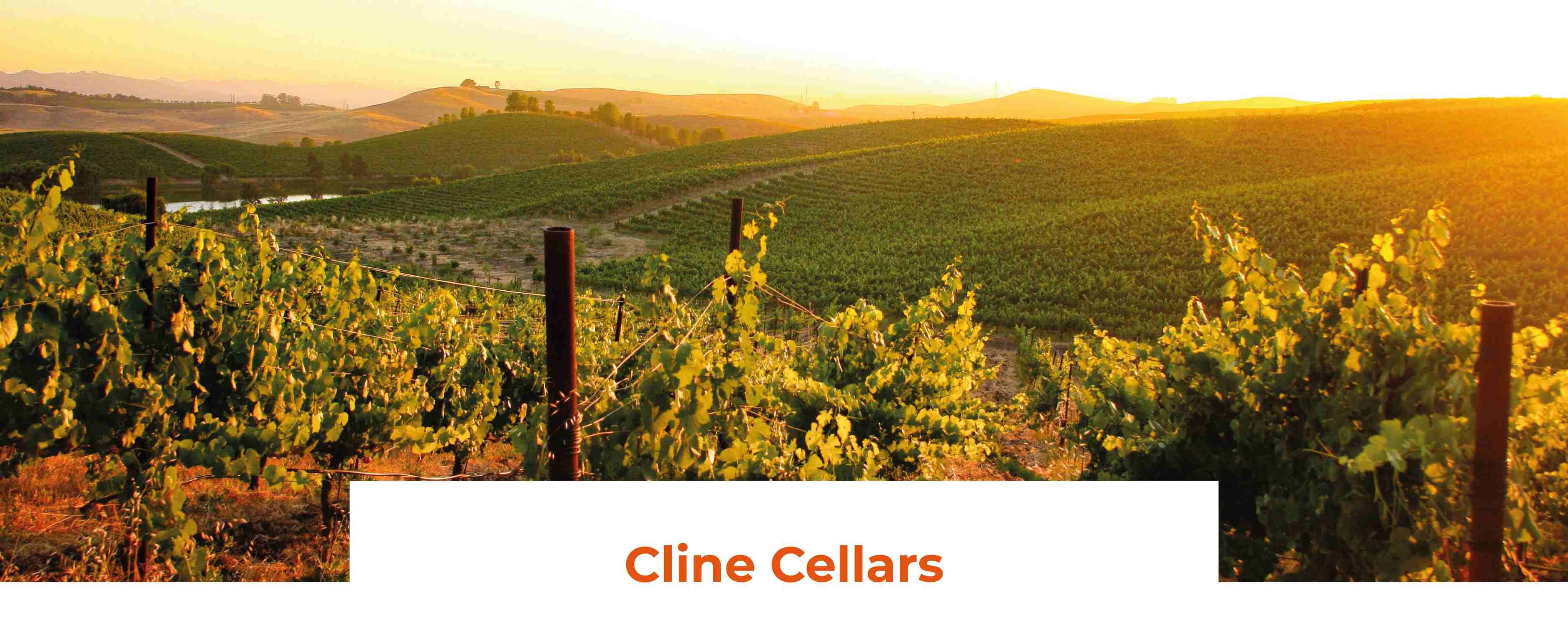 vmvinhos-cline-cellars-22