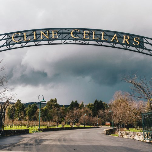 vmvinhos-cline-cellars-4