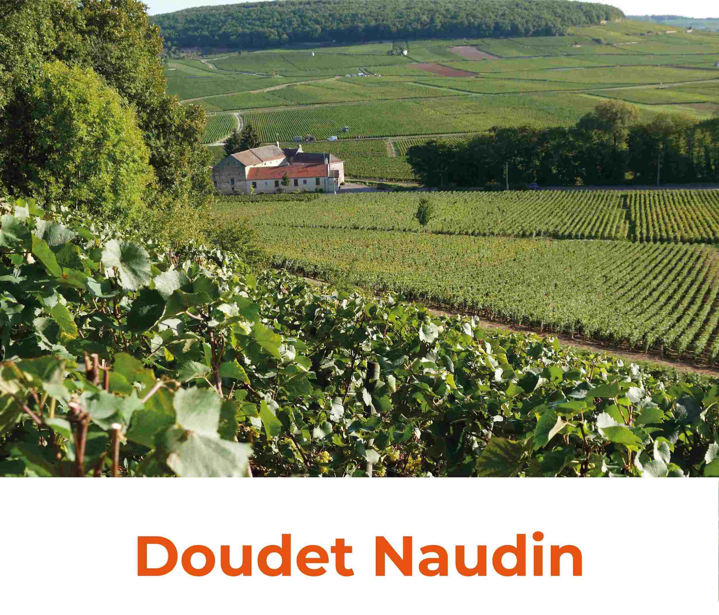 Doudet Naudin, Vin de France Pinot Noir | VM Vinhos
