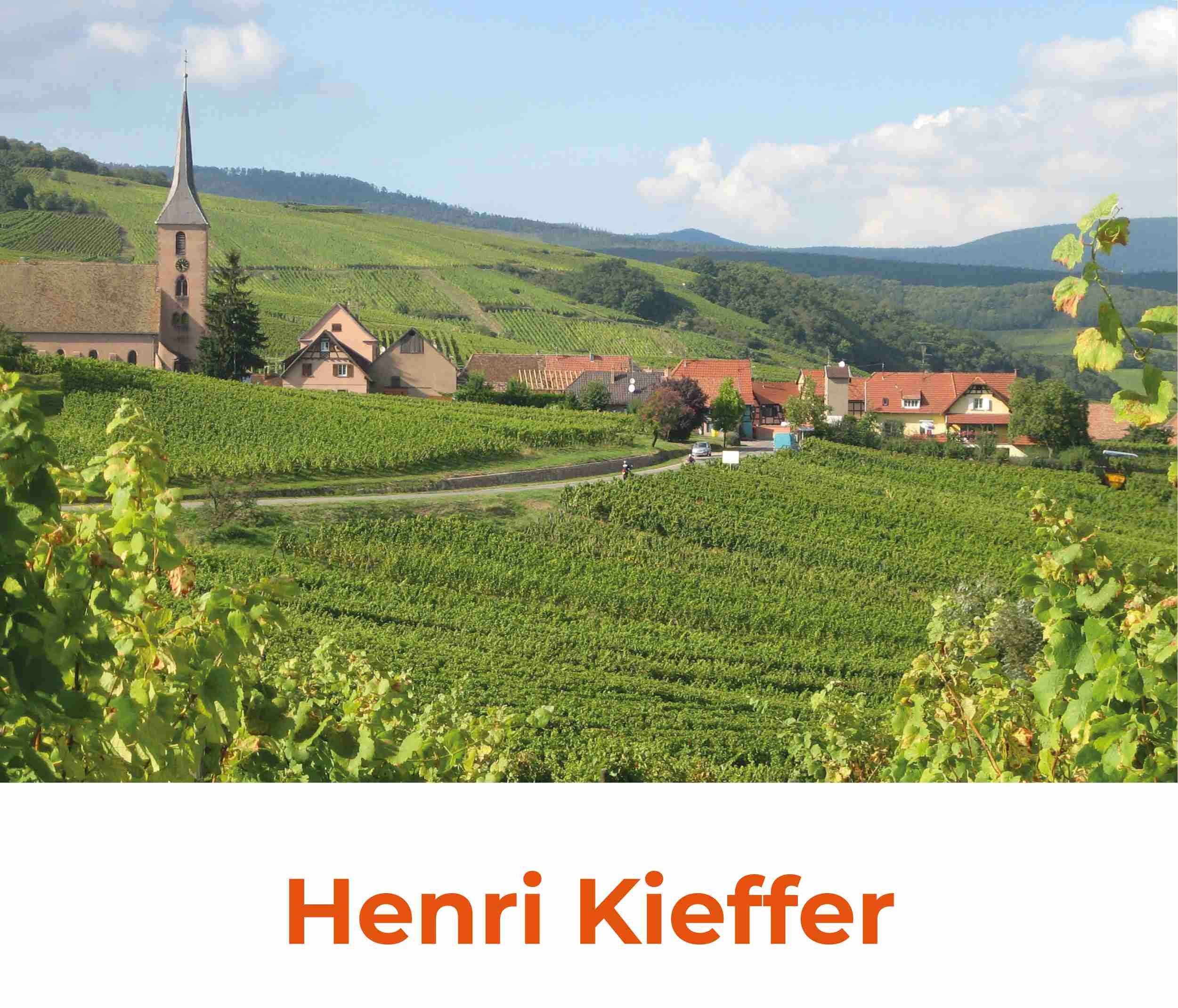 Vinhos Henri Kieffer Alsácia França | VM Vinhos | VM Vinhos