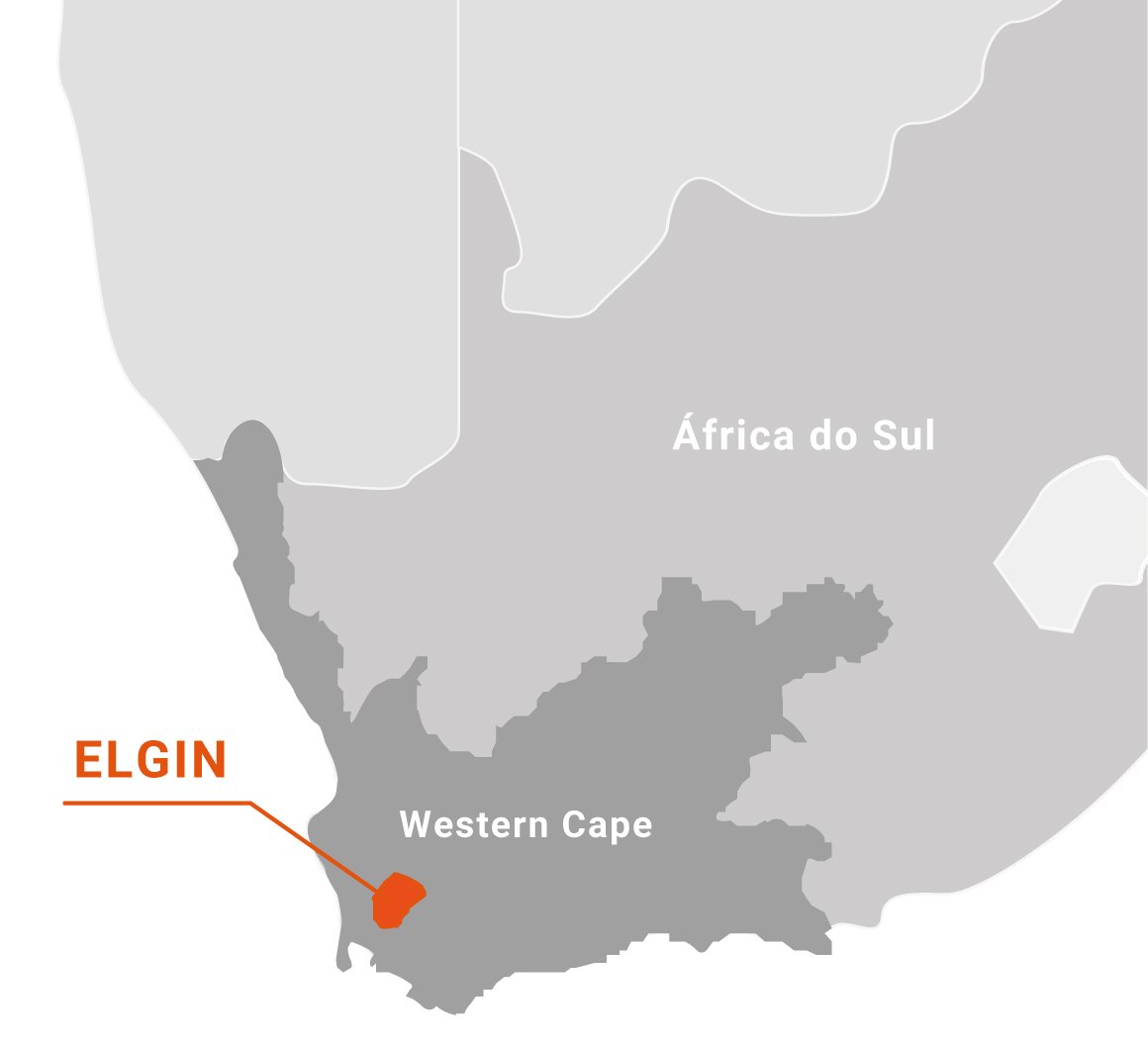 vmvinhos-mapa-regiao-elgin-1