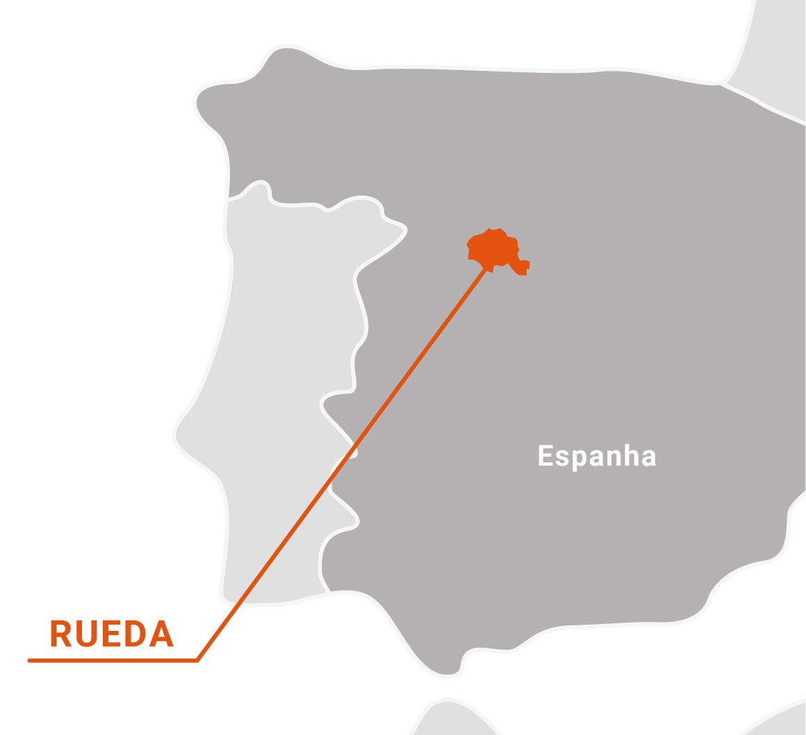 Where Is Rueda Vinhos Torrederos Rueda Espanha | VM Vinhos | VM Vinhos