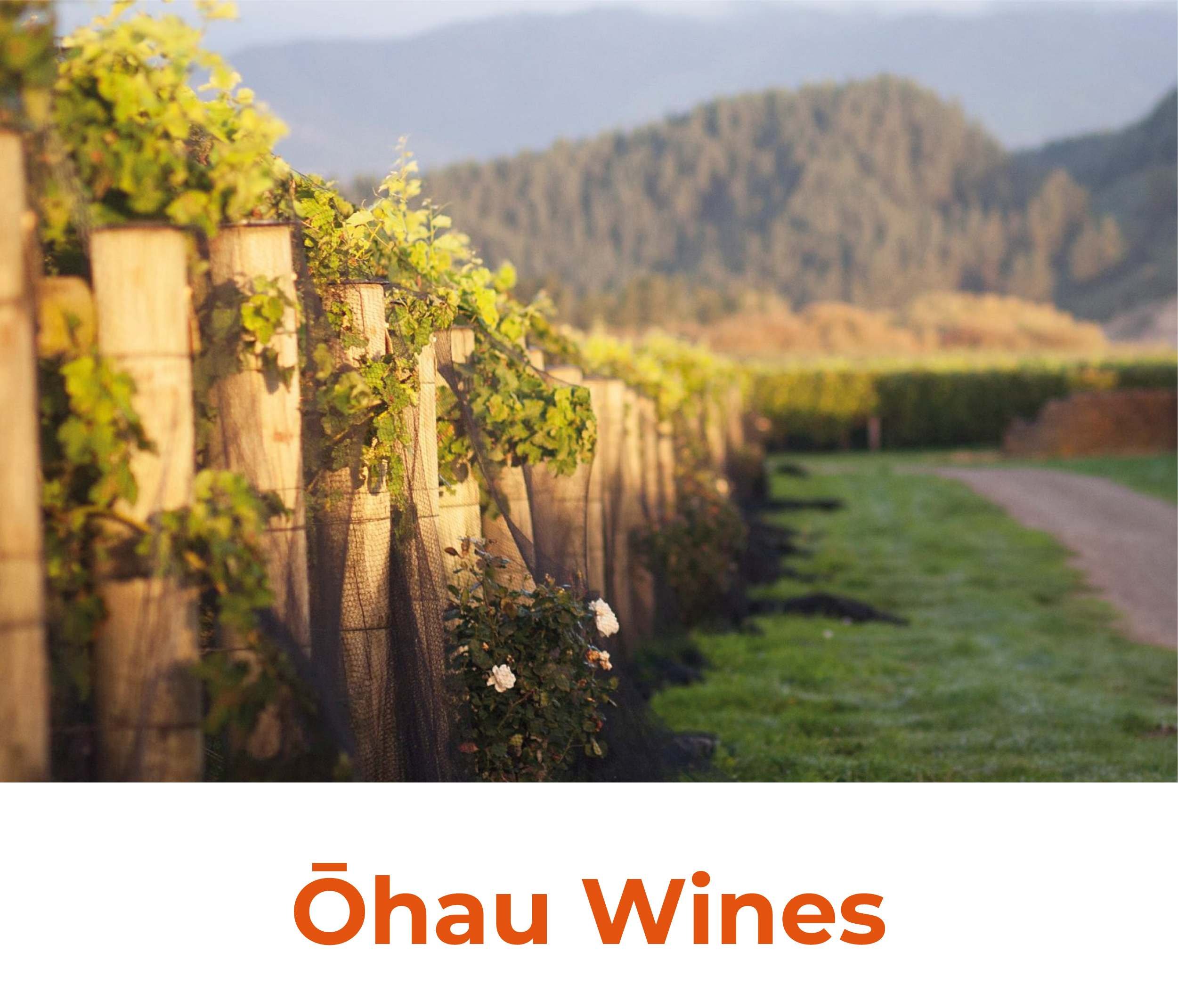 Vinhos Ōhau Wines Nova Zelandia | VM Vinhos | VM Vinhos