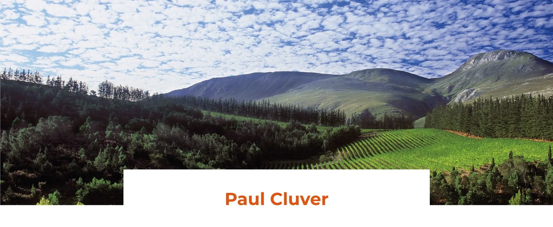 vmvinhos-paulcluver