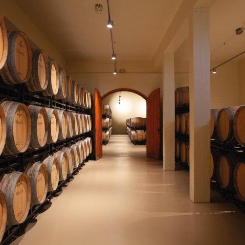 vmvinhos-senoriodearana5