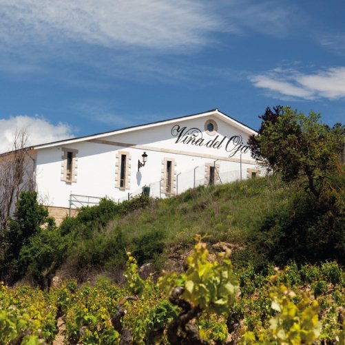 vmvinhos-senoriodearana9