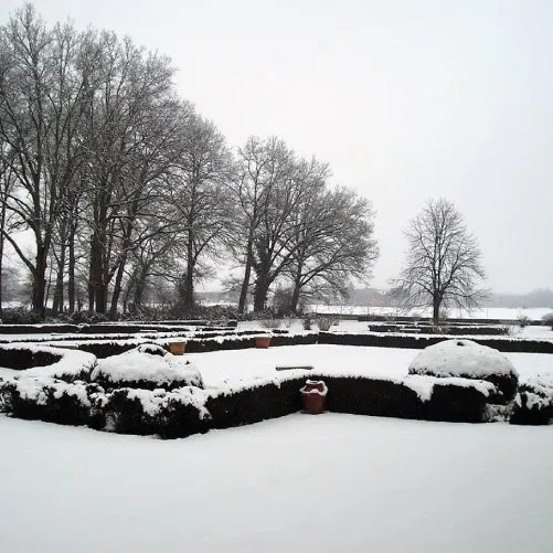 vmvinhos-vinicolabartali-2